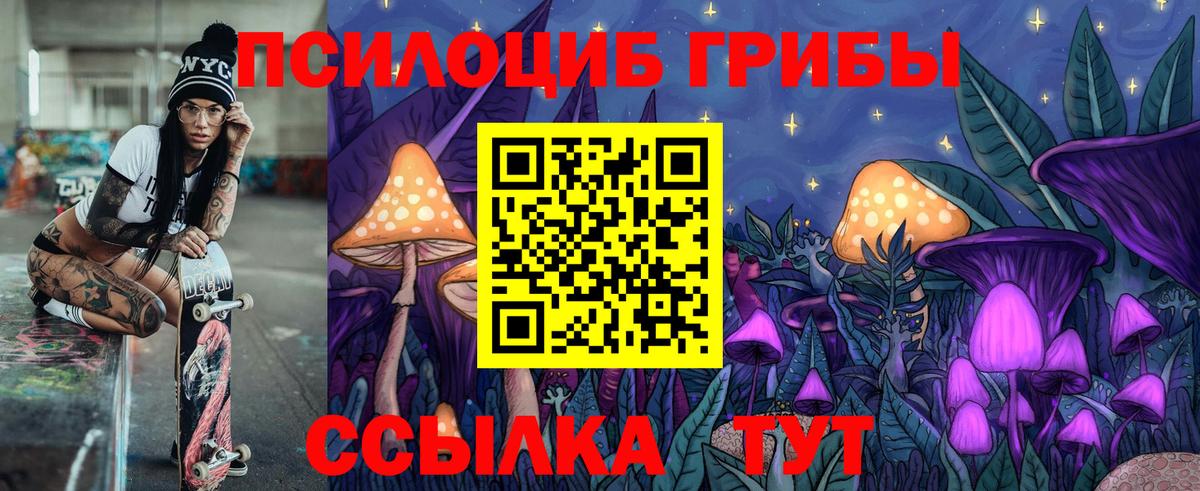 Луга  Псилоцибиновые грибы прущие грибы  Вход с VPN  Псилоцибиновые грибы мухоморы 